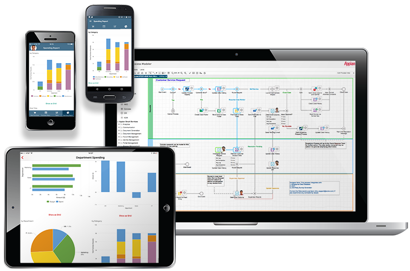 Appian : Opiniones, Precios & Funcionalidades | Appvizer